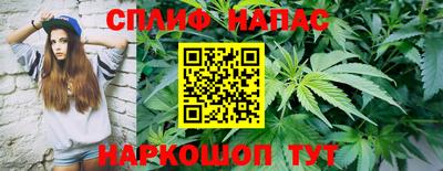 спиды Краснодар