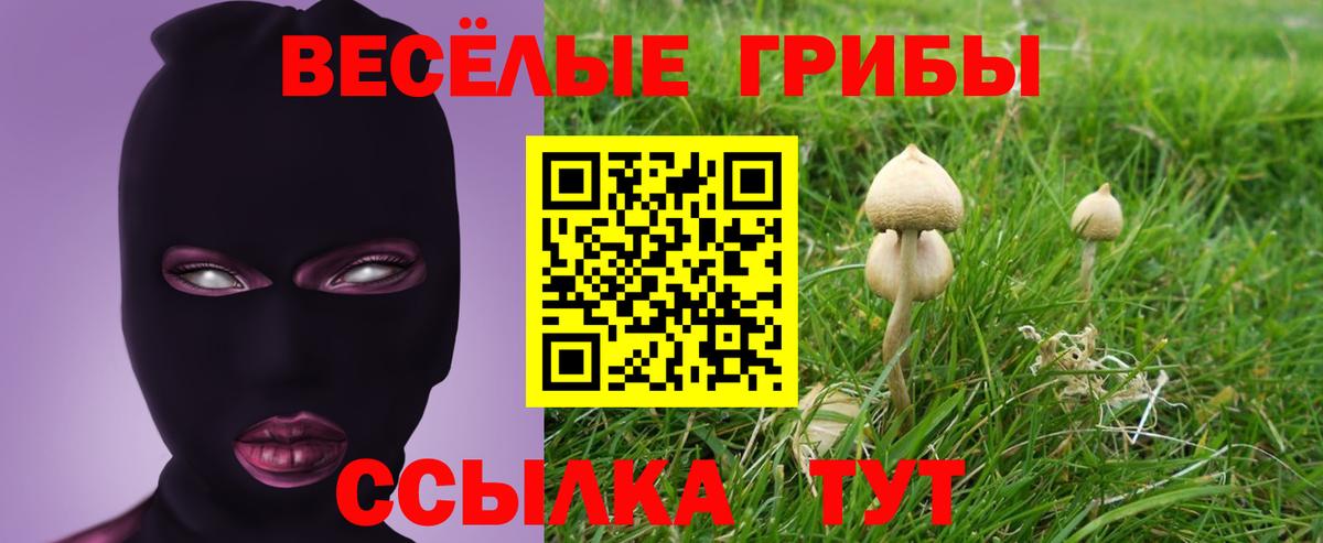 Псилоцибиновые грибы GOLDEN TEACHER Когалым